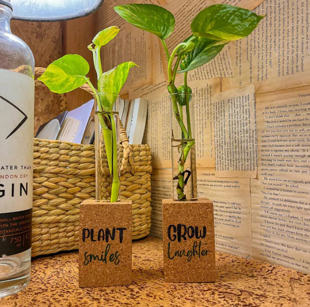 Curated visual reference: Gallery Detail: How To Style Your Living Room With Eco Friendly Home