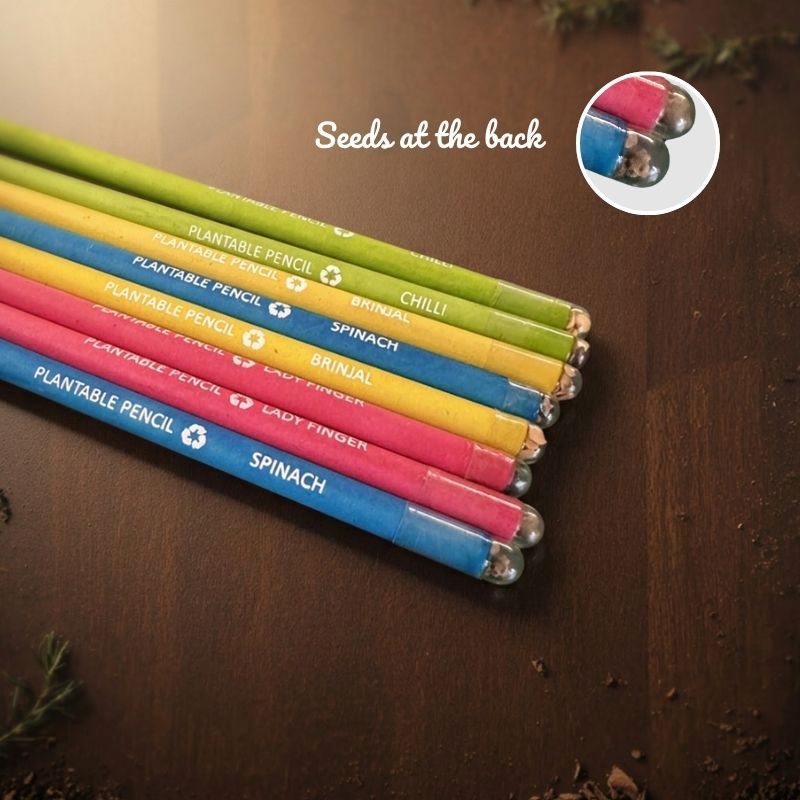 Plantable Seed Pencils