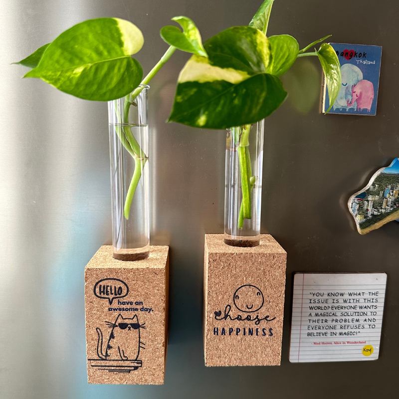 Cork Magnetic Planter (Set of 2)