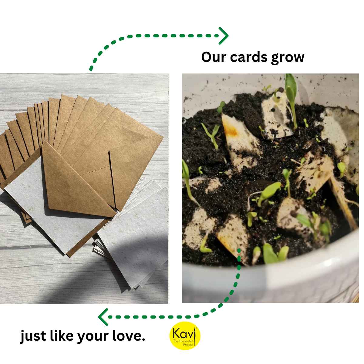 Customised Plantable Cards A6 with Kraft Paper Envelopes (Set of 25 )