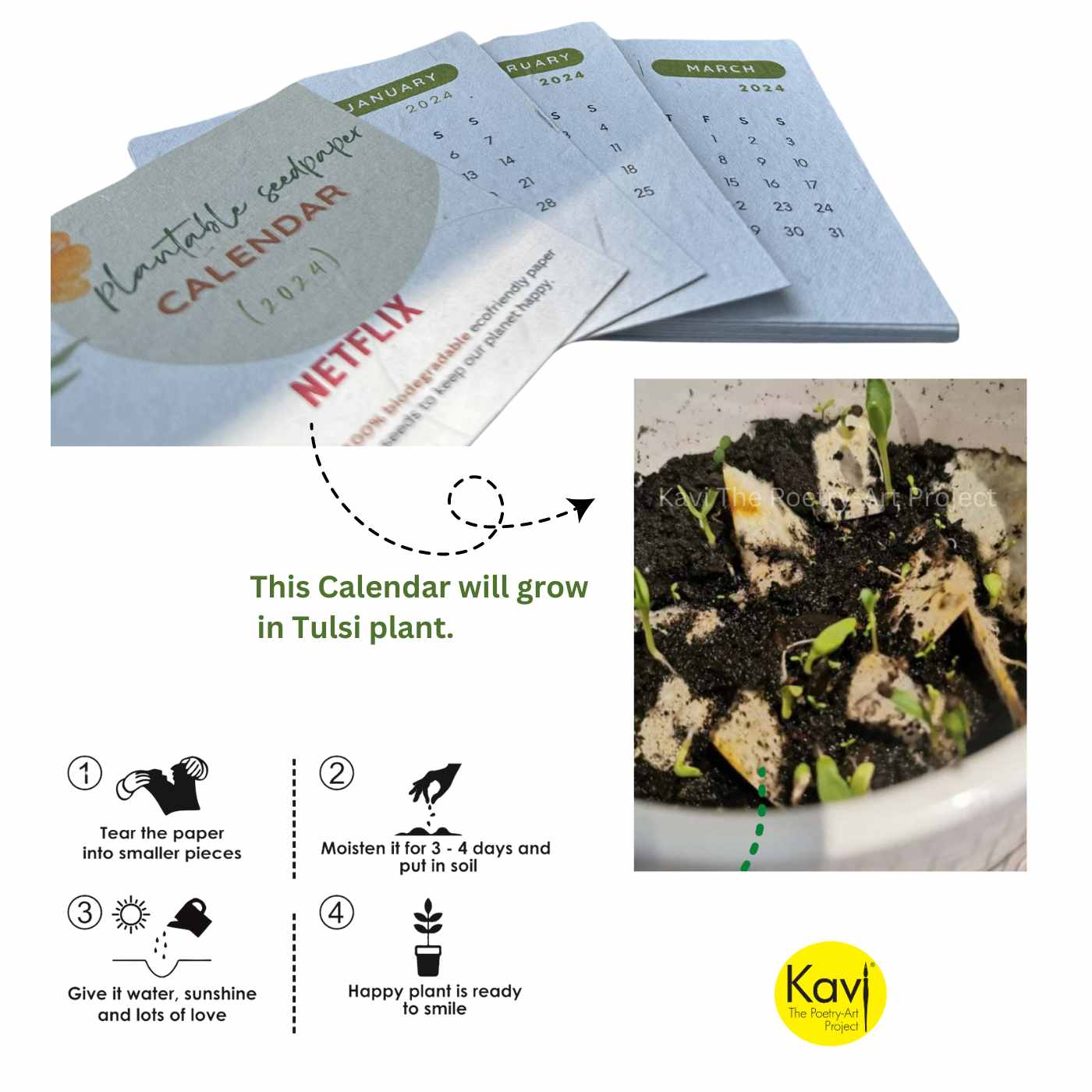 Seed Paper Calendar with Propagation Planter