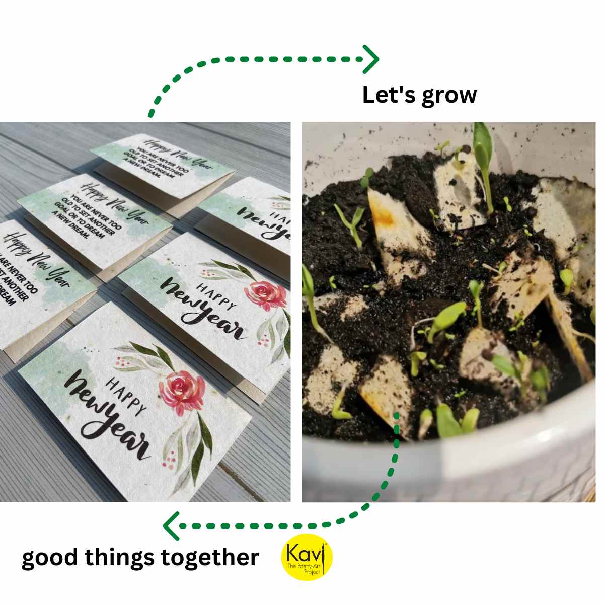 Plantable Happy New Year Greeting Cards with Envelopes (Set of 12)