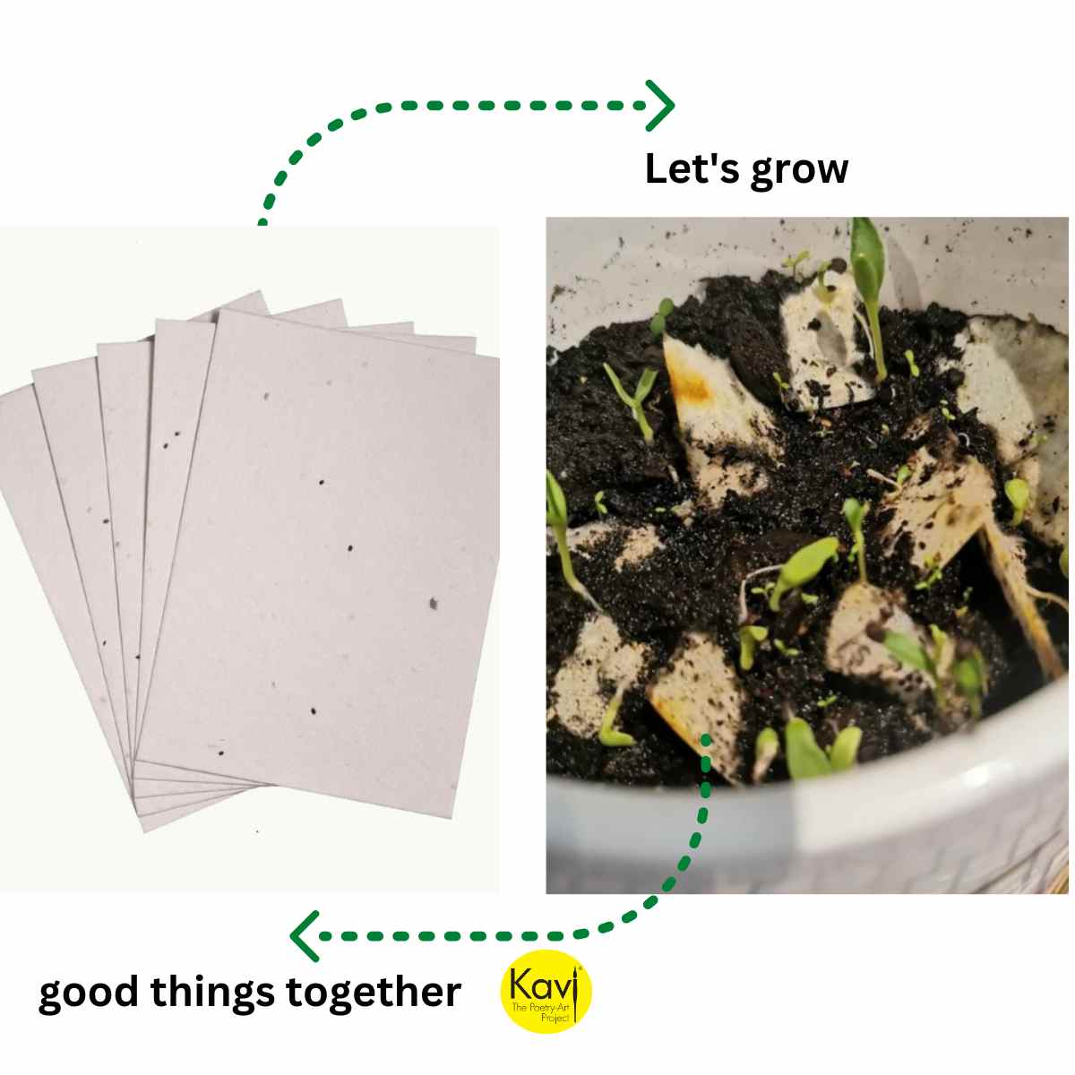 Kavi Marigold Seed Paper (Pack of 20)