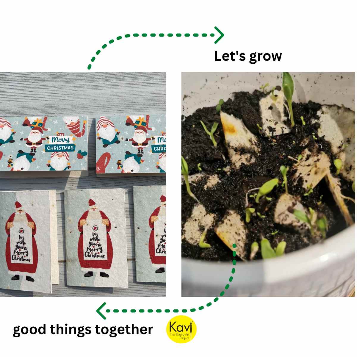 Plantable Christmas Cards with Envelopes (Set of 12)