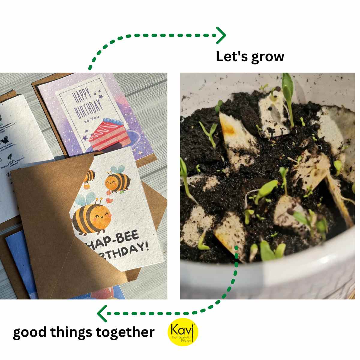 Seed Paper Birthday Cards A6 with Envelopes (Set of 4)