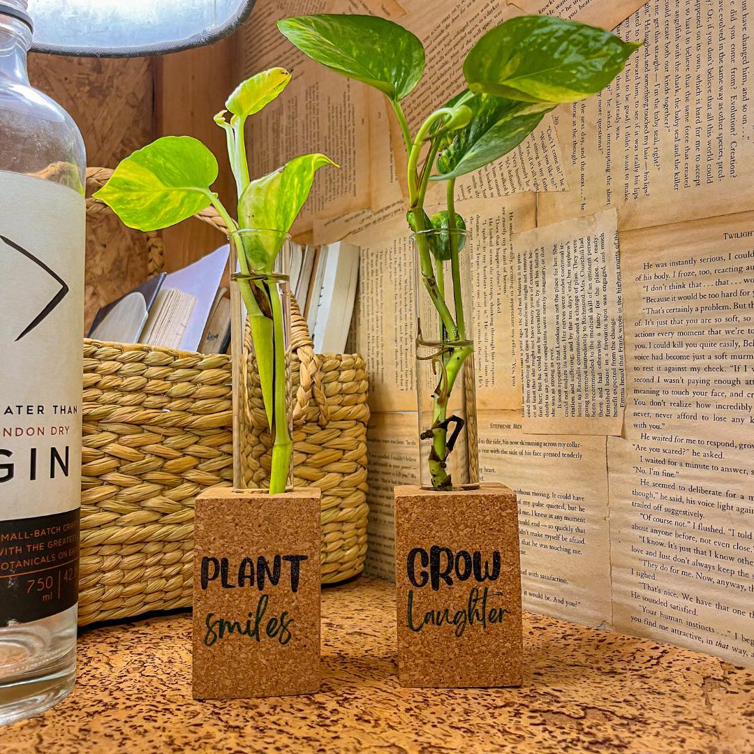 Cork Propagation Planter - Set of 2