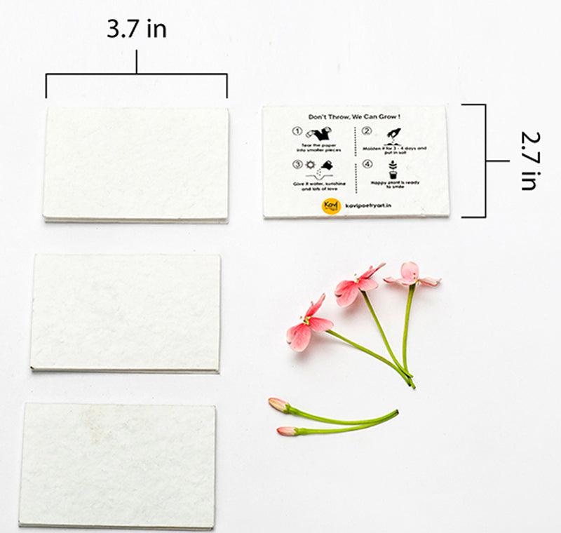 DIY Seed Paper Cards with Envelopes (Set of 50)
