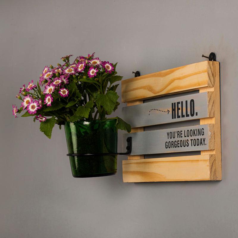 Hello Gorgeous with Vat69 Planter