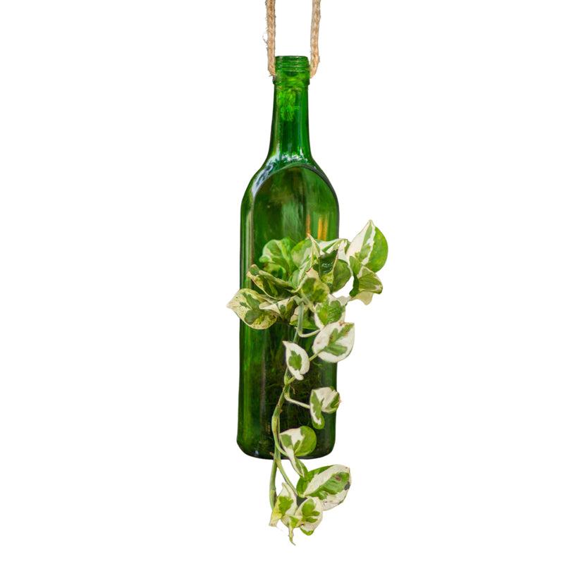Kavi Jharokha Bottle Planter