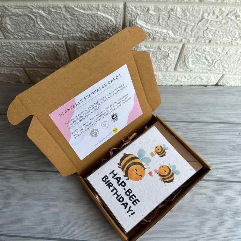 Seed Paper Birthday Cards A6 with Envelopes (Set of 4)