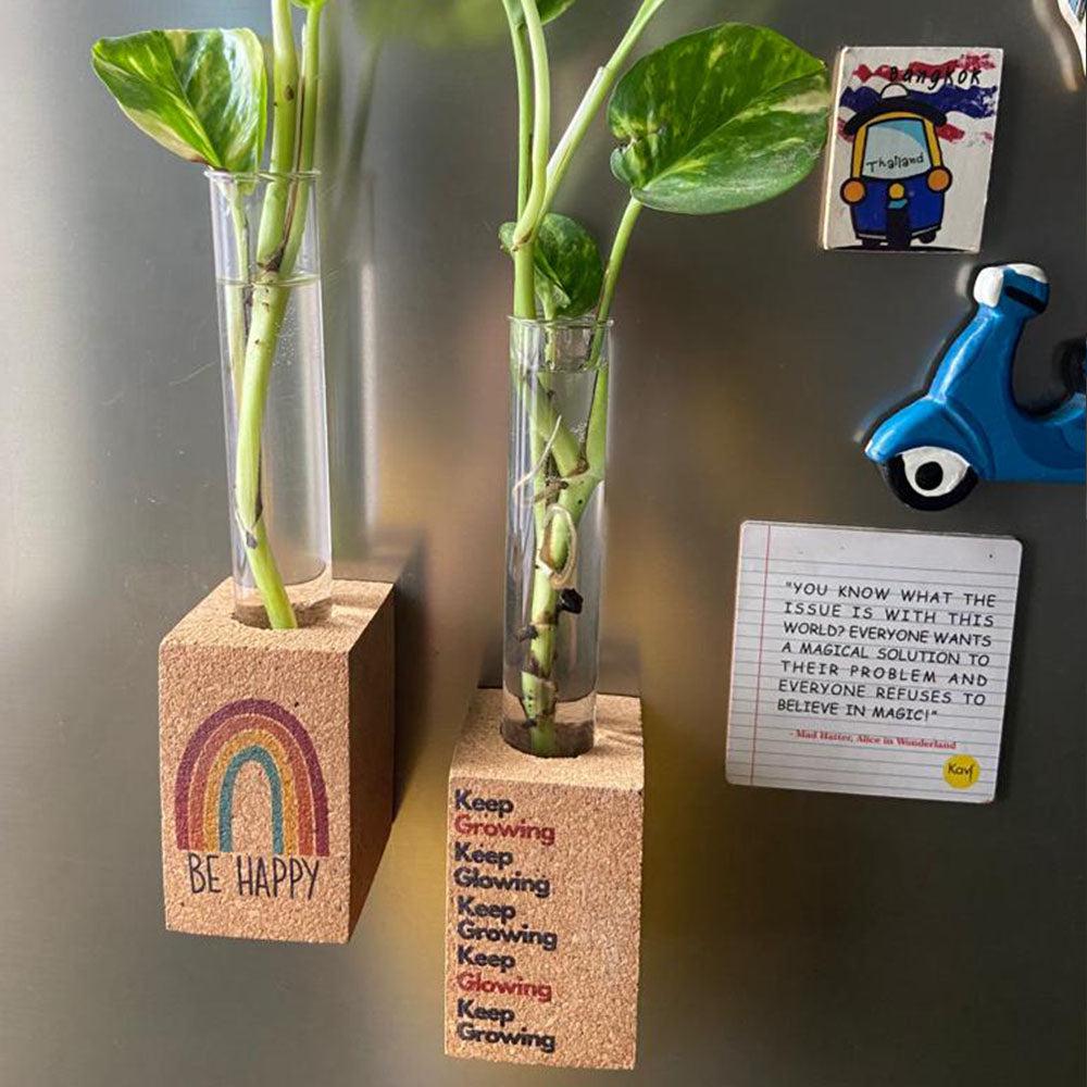 Cork Propagation Planter (Set of 2)