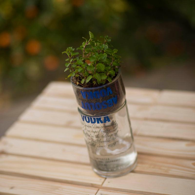 Reverse Osmosis Bottle Planter