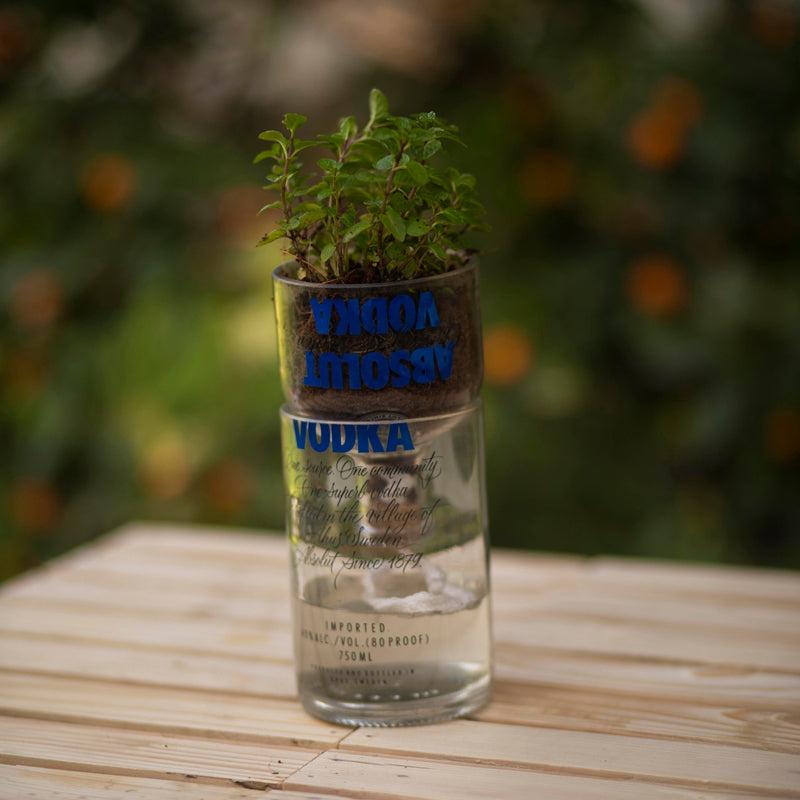 Reverse Osmosis Bottle Planter