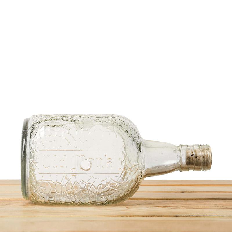 Rum Bottle Planter (Table Top)