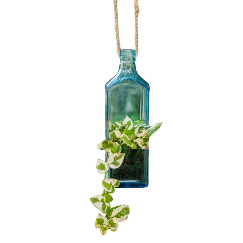 Sapphire Bottle Planter (Hanging)