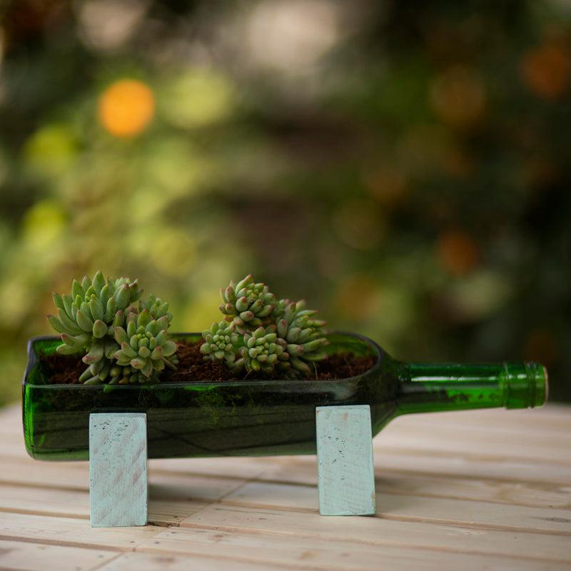 Stand-Up Bottle Planter - Sea Green