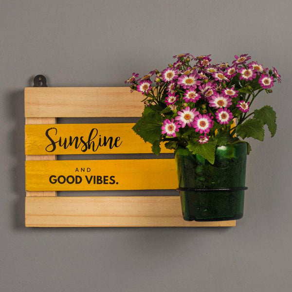 Sunshine Board with Vat69 Planter