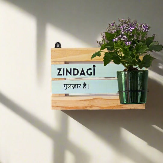 Bottle Planter with Wooden stand 