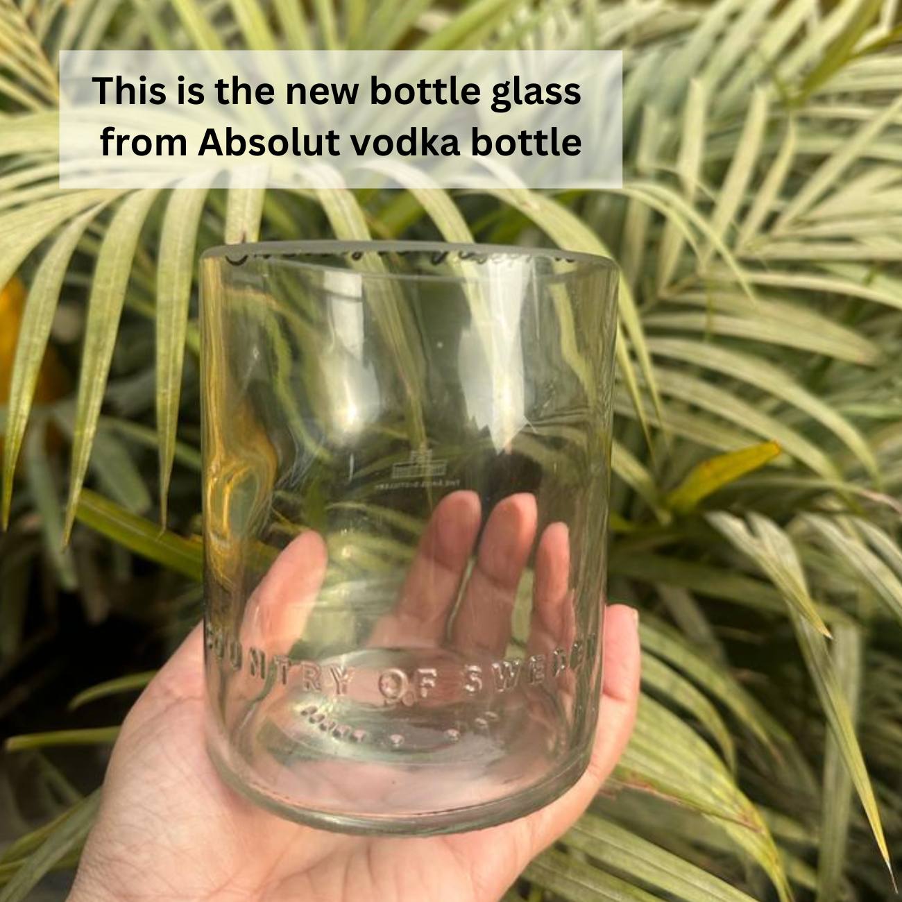 Absolut Bottle Party Combo Set