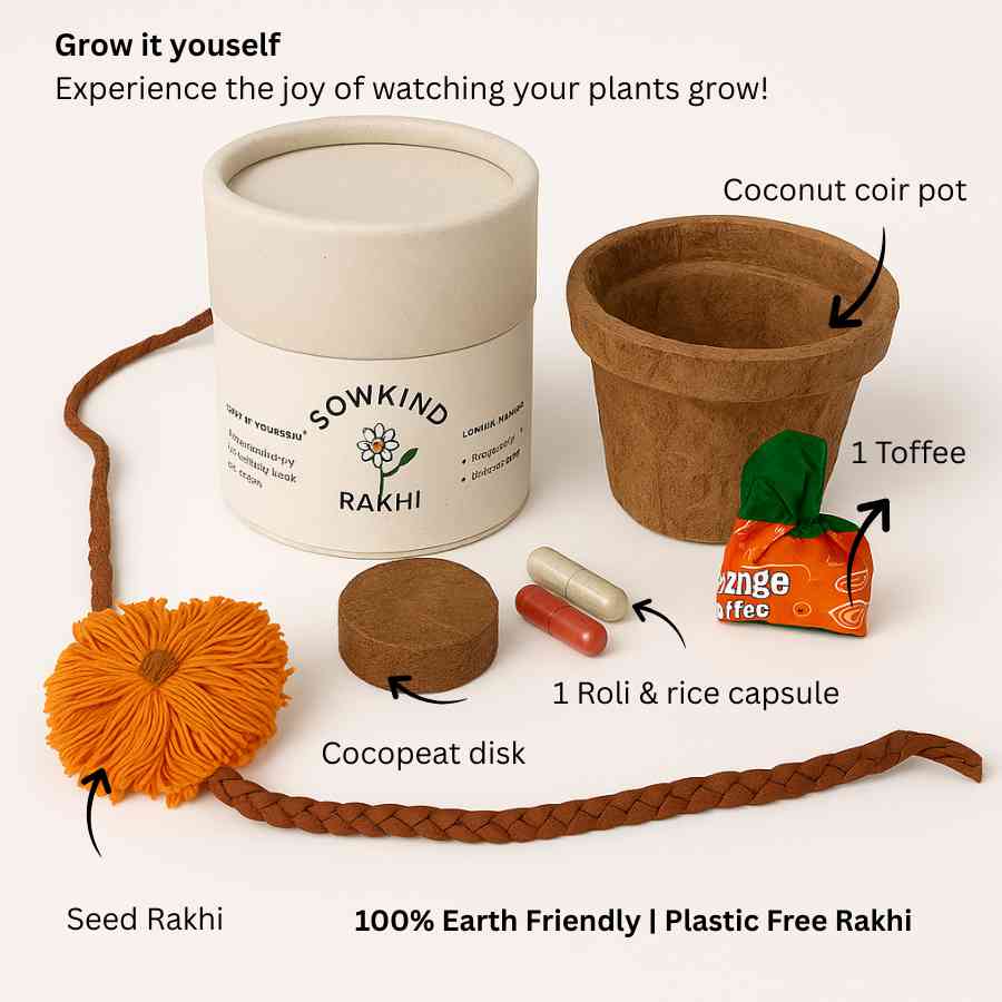 Plantable_Rakhi_11_4f60149f-5fe7-47ac-82c8-4edd23bd1957