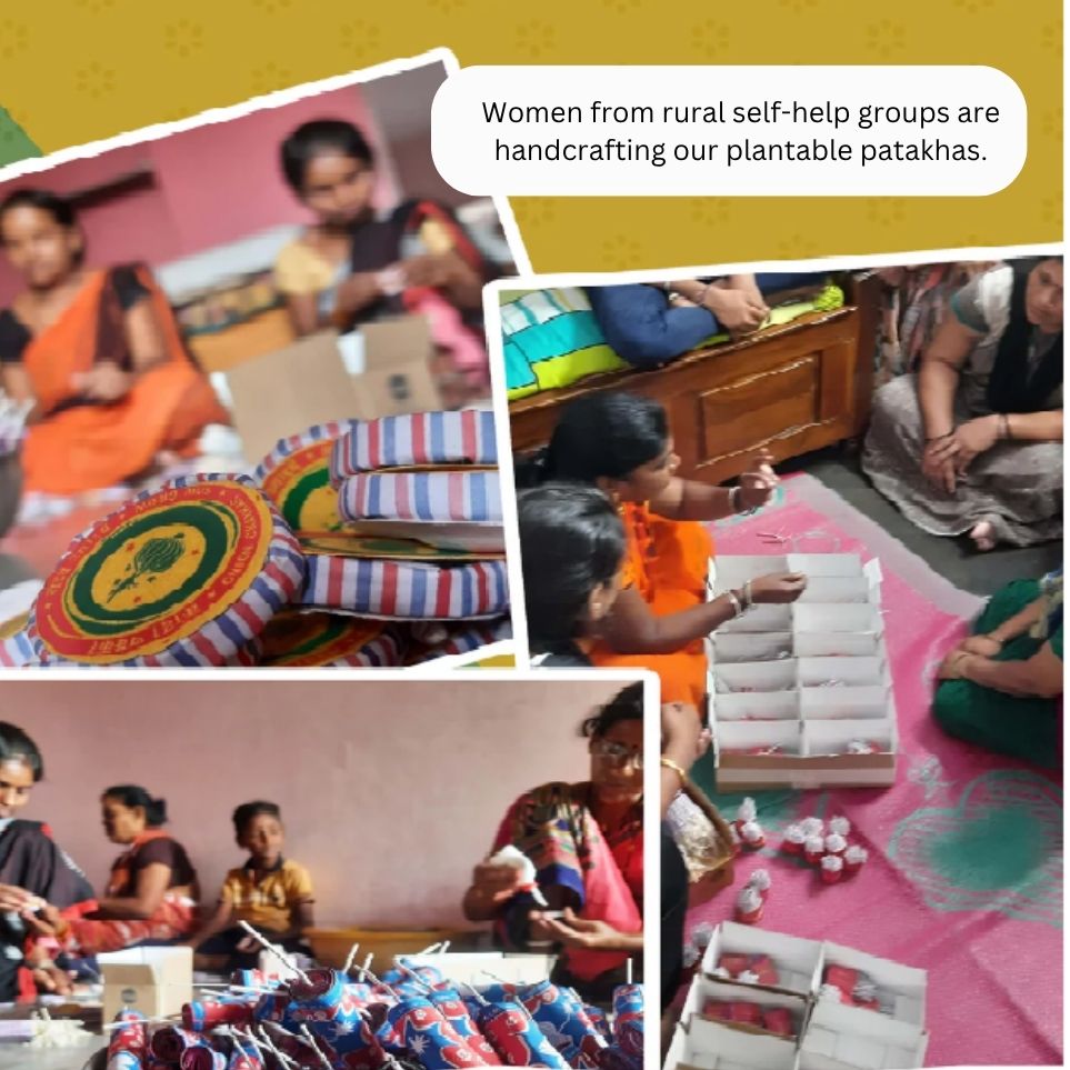 Plantable Diwali Cracker Kit