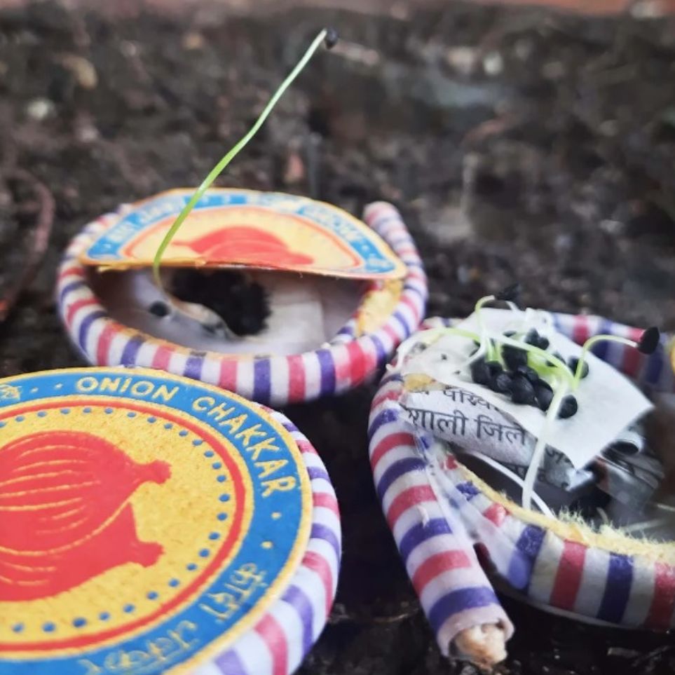 Plantable Diwali Cracker Kit