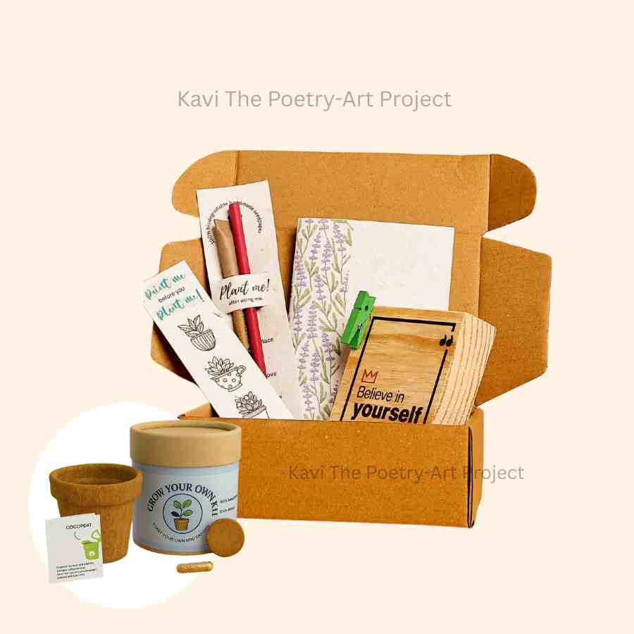 Seed paper Hamper KIt