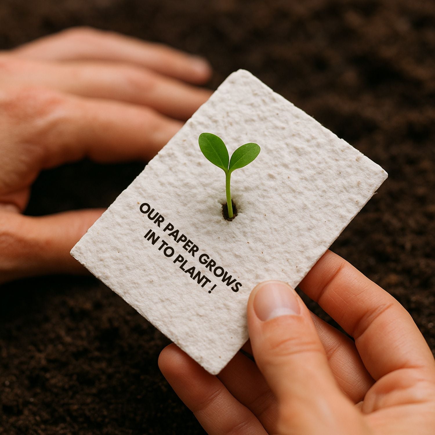 Seedpaper_5b5766a6-0fa4-4e61-883a-57058c5c8800