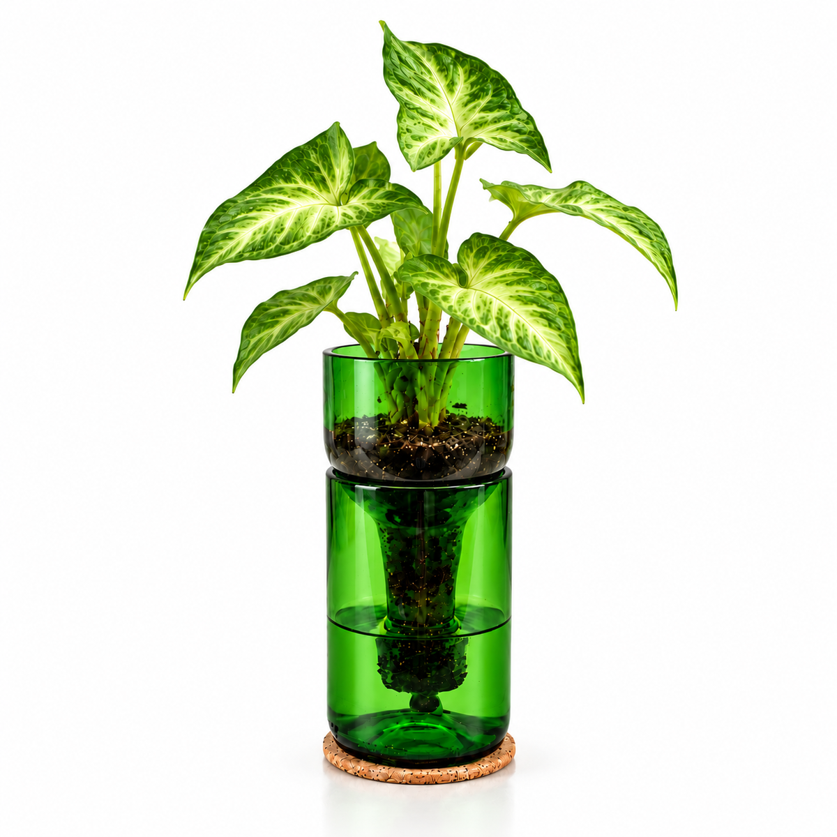 Self Watering Wine Bottle Planter