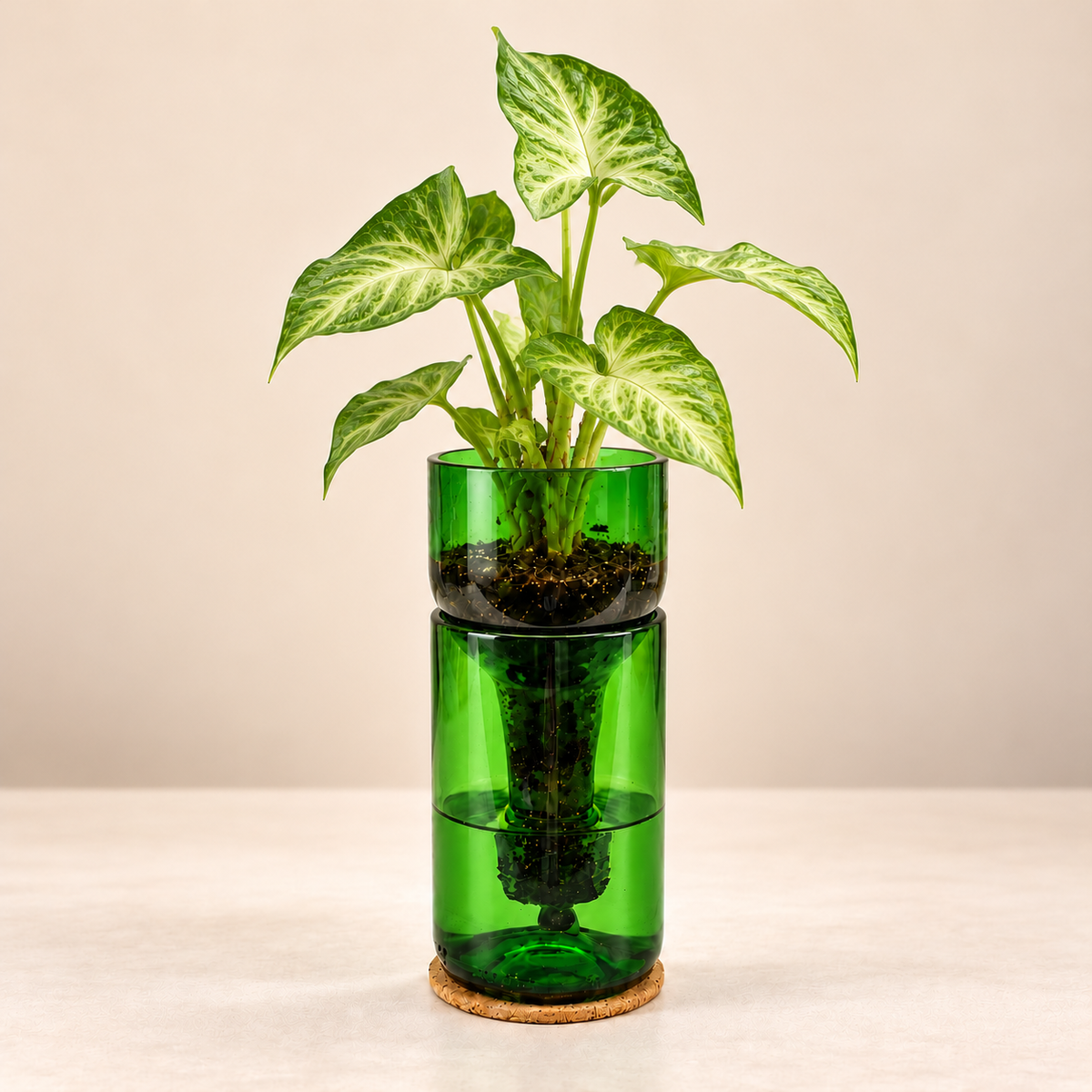 Self Watering Wine Bottle Planter