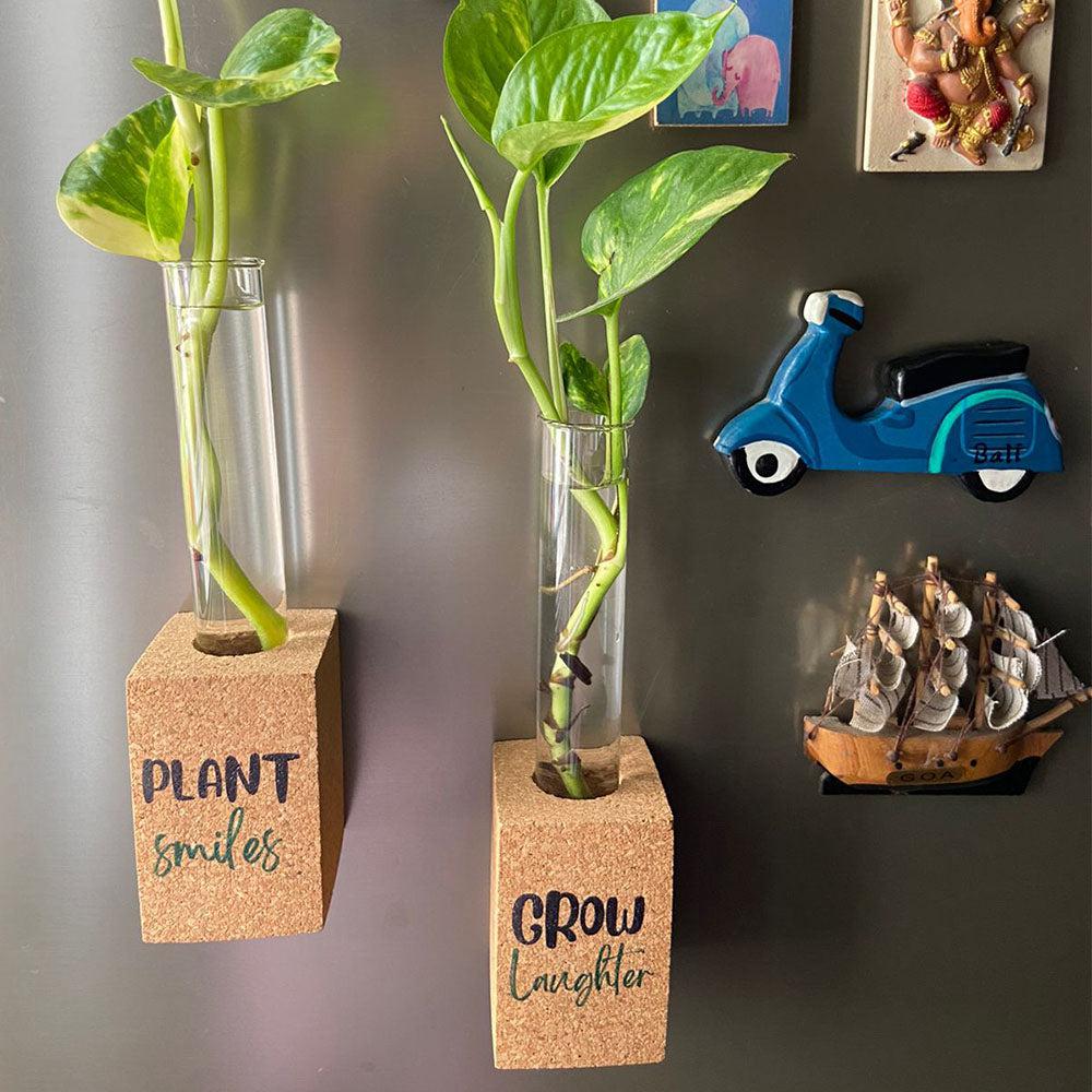 Cork Propagation Planter - Set of 2