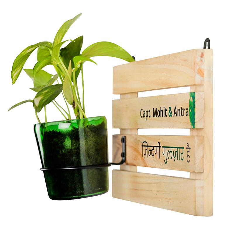 Customised Beige Living Name Board With Vat69 Planter