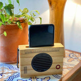 Customised Mobile Sound Amplifier