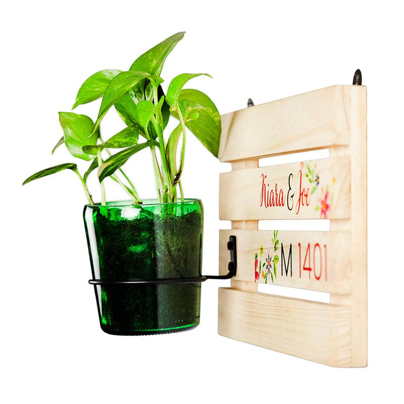 Customised Multicoloured Living Name Board With Vat69 Planter