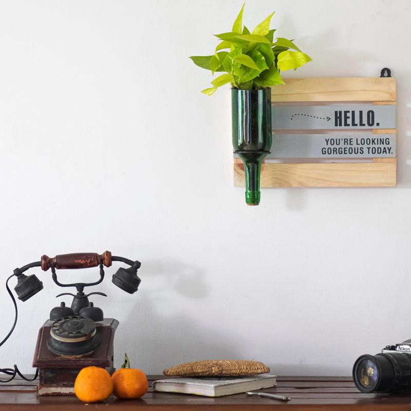 Hello Gorgeous with Wine Planter