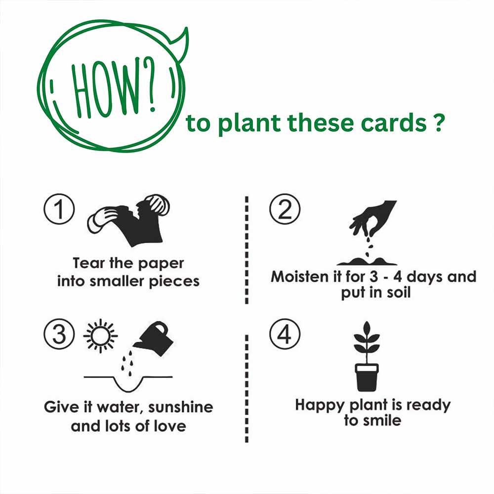 Seed Paper Diwali Cards with Envelopes (Set of 12)