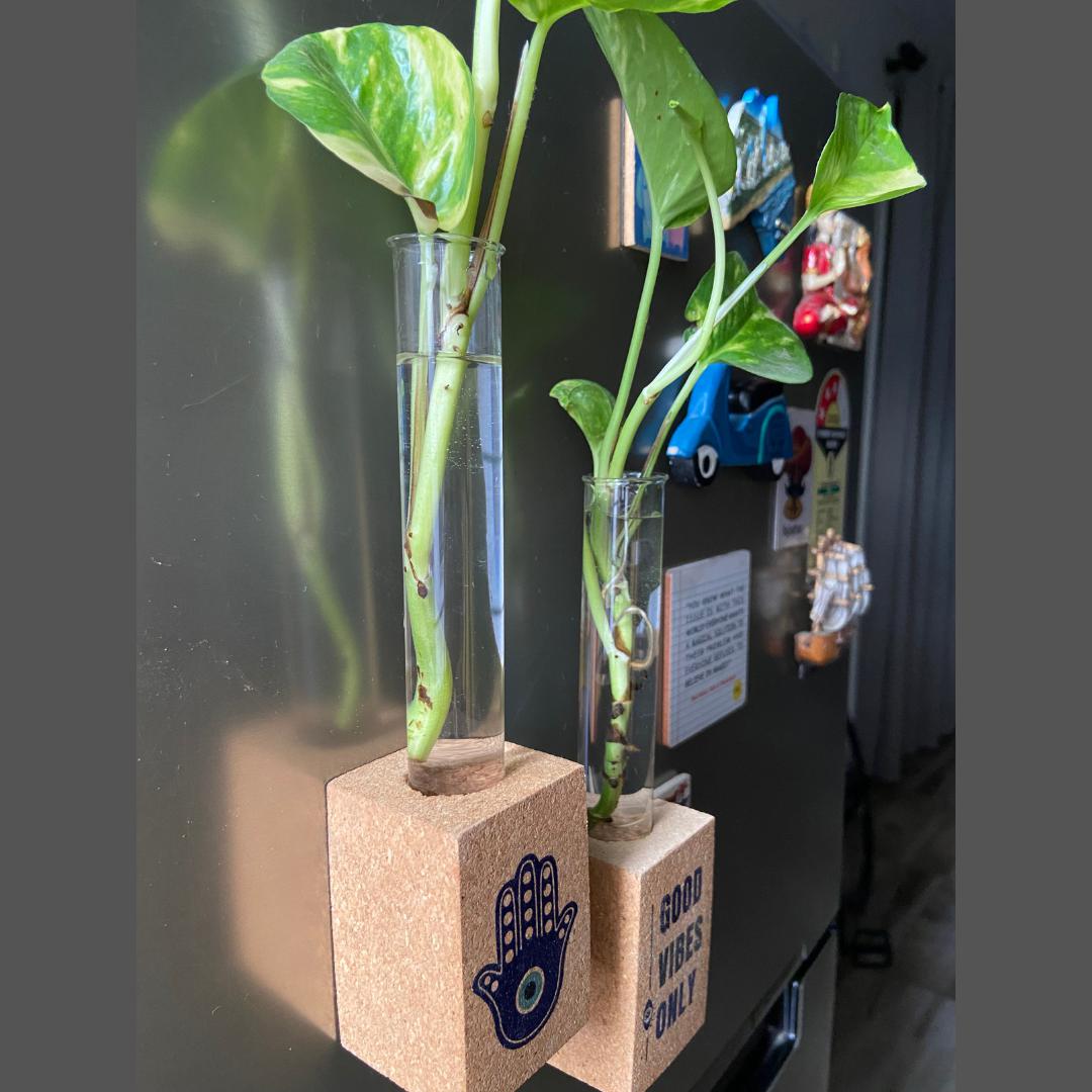 Cork Magnetic Planter (Set of 2)