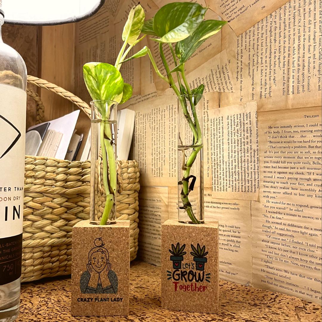 Cork Magnetic Planter for Indoor Plants ( Set of 2 )