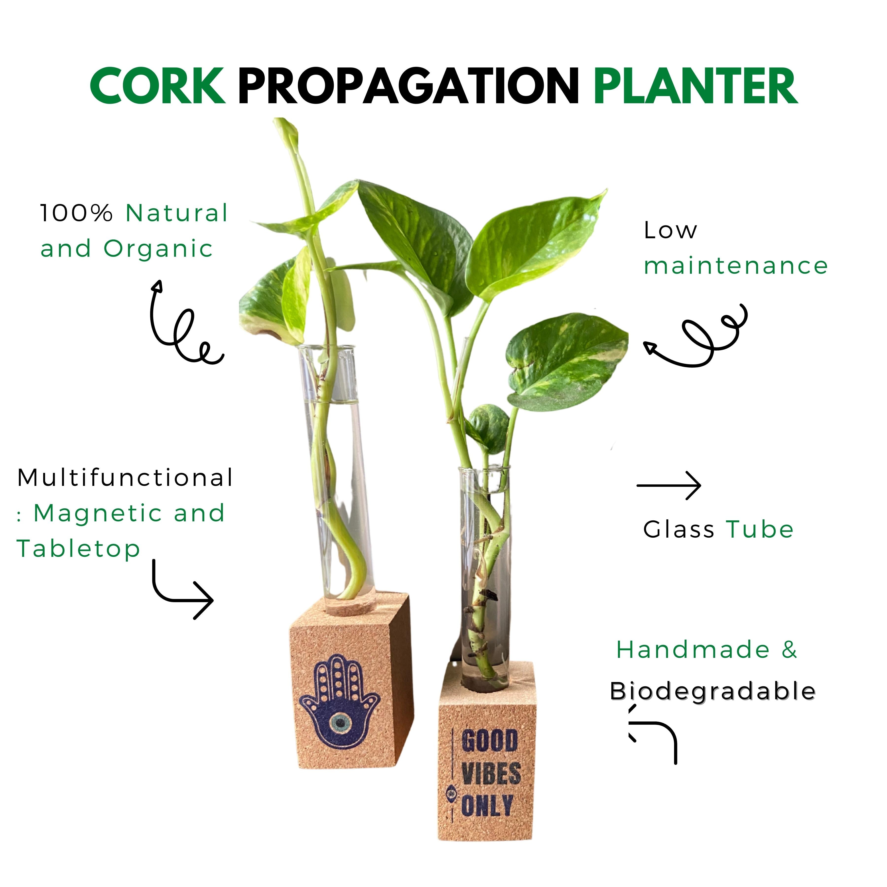 Cork Magnetic Planter (Set of 2)