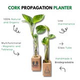 Cork Magnetic Planter for Indoor Plants ( Set of 2 )