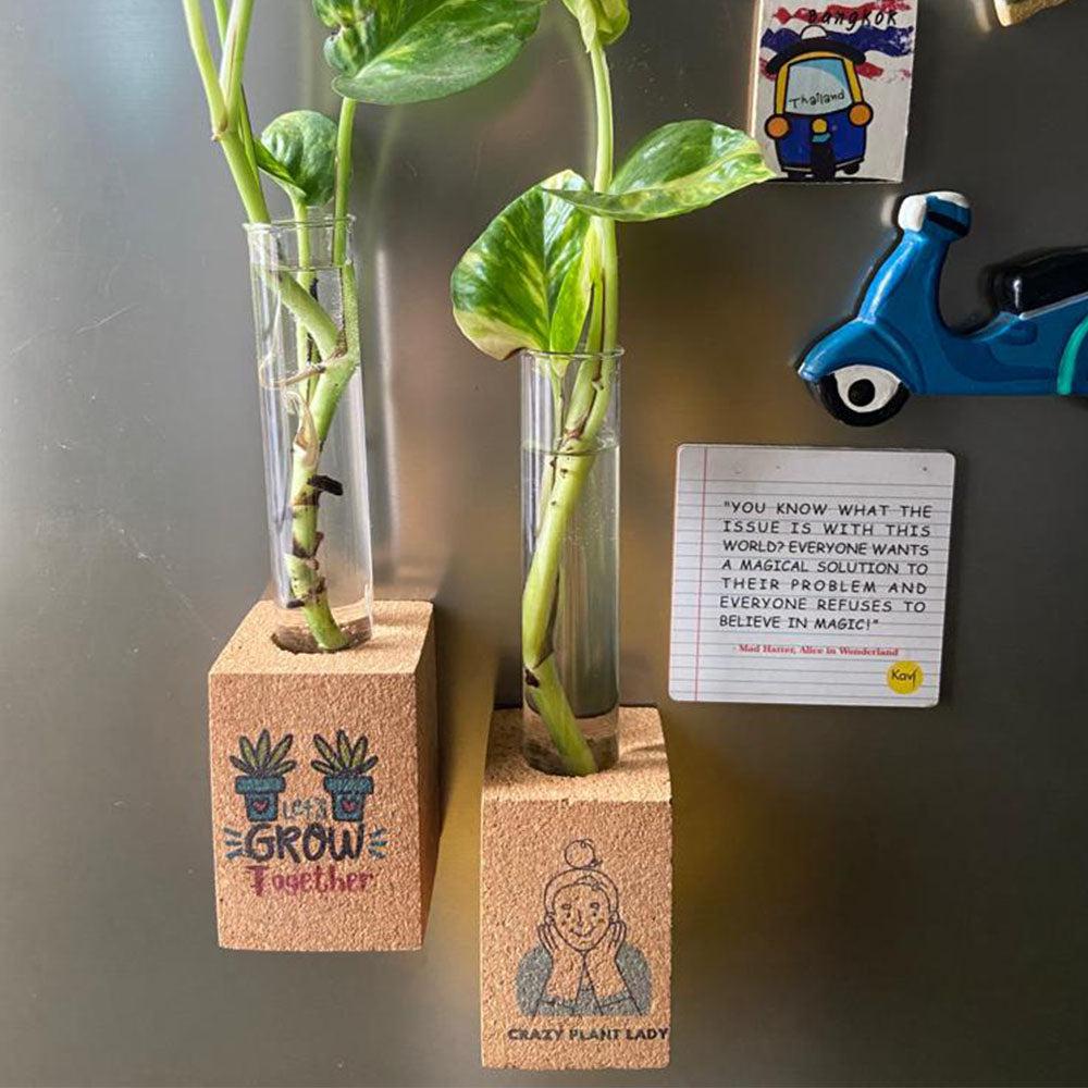 Cork Magnetic Planter for Indoor Plants ( Set of 2 )