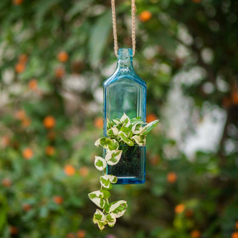 Sapphire Bottle Planter (Hanging)