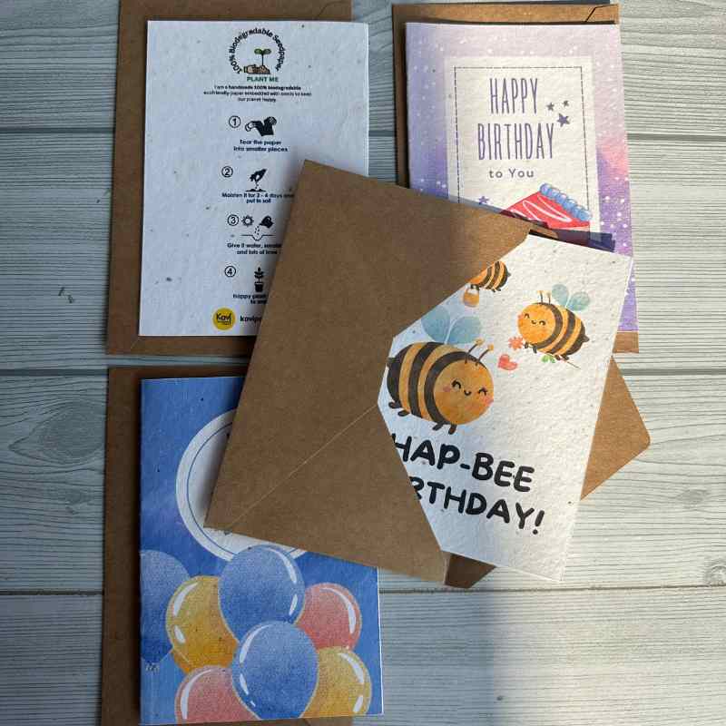 Seed Paper Birthday Cards A6 with Envelopes (Set of 4)