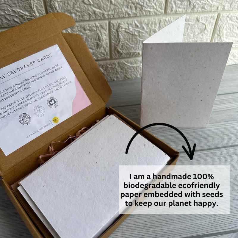 Plain Seed Paper Ecofriendly Cards with Envelopes (Set of 4)