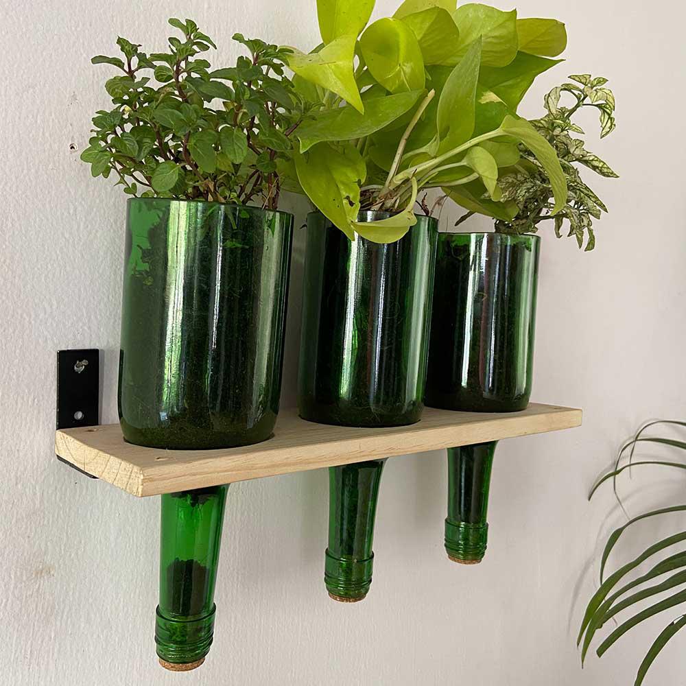 Wine Bottle Planters With Wooden Stand